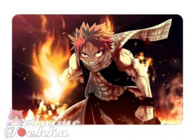 Fairy Tail 133